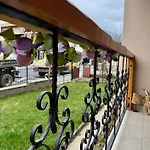 Krisiya's Μπάνσκο